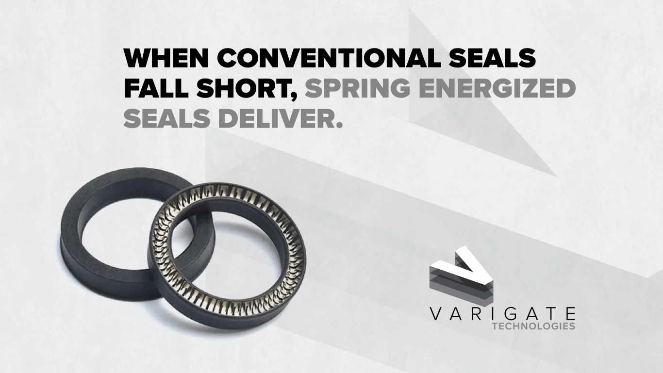 Spring Energized Seals