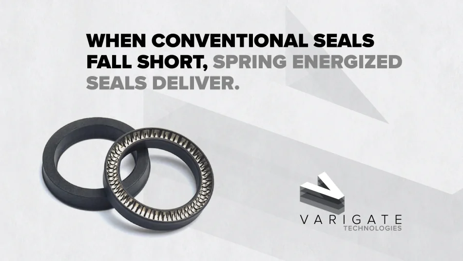 Spring Energized Seals