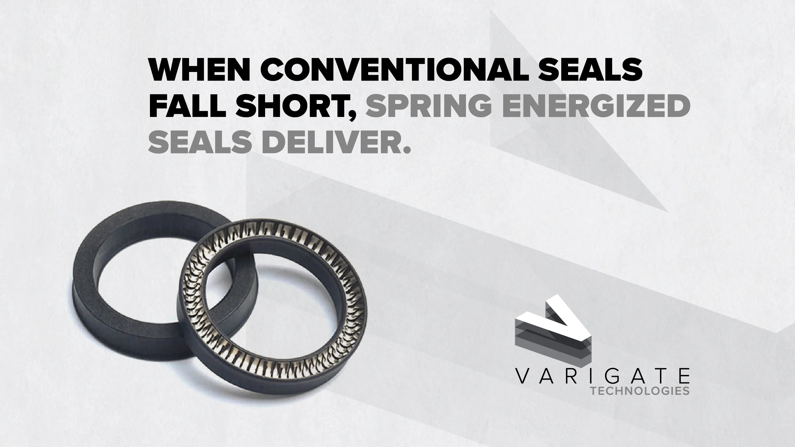 Spring Energized Seals