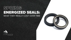 Spring energized seals Varigate blog